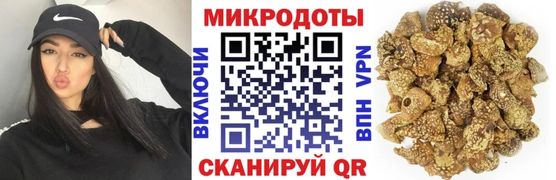 Псилоцибиновые грибы Psilocybe  KRAKEN   darknet состав  Гусев 