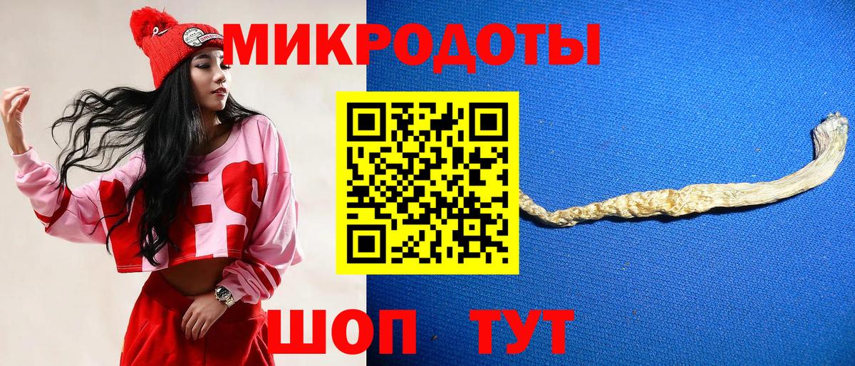 где купить   Псилоцибиновые грибы мухоморы  Гусев  Псилоцибиновые грибы Psilocybine cubensis 