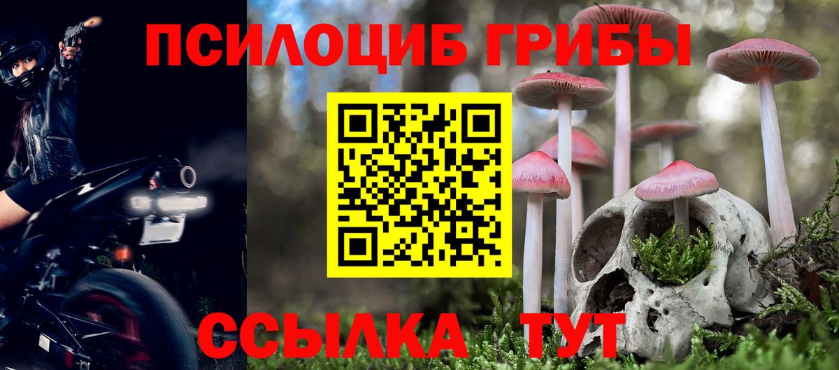 Галлюциногенные грибы Psilocybe  Галлюциногенные грибы Psilocybine cubensis  Вход с VPN  Гусев 