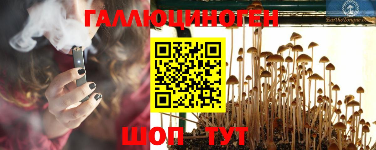 Галлюциногенные грибы мицелий Гусев